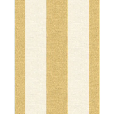 Kravet Design Sparkle