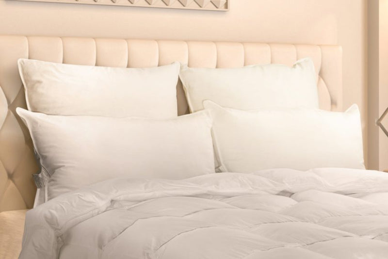 Downright Logana 920 fill power Canadian white goose down luxury pillow